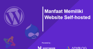 Manfaat Memiliki Website Self-hosted